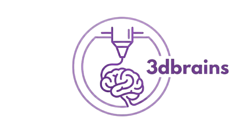 3dbrains